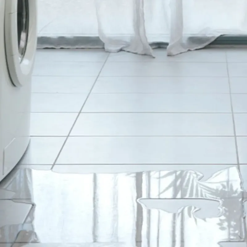Appliance Leak Cleanup in Edgefield, SC